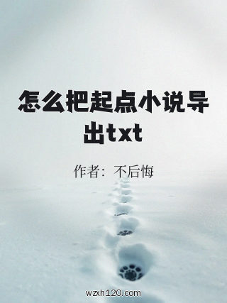 怎么把起点小说导出txt