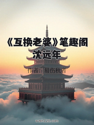 《互换老婆》笔趣阁沈远年