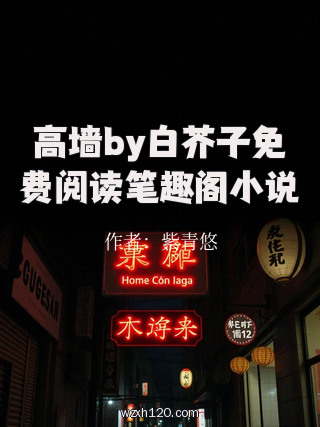 高墙by白芥子免费阅读笔趣阁小说