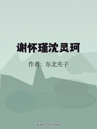 谢怀瑾沈灵珂