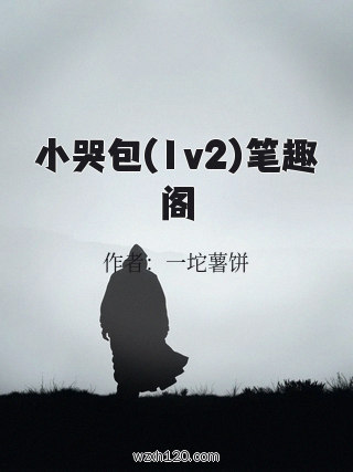 小哭包(1v2)笔趣阁