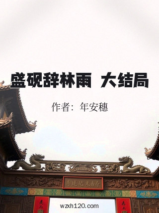 盛砚辞林雨濛大结局