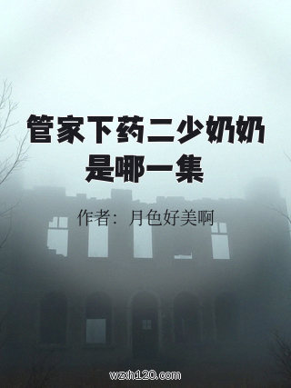 管家下药二少奶奶是哪一集