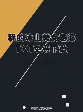 我的冰山美女老婆TXT免费下载