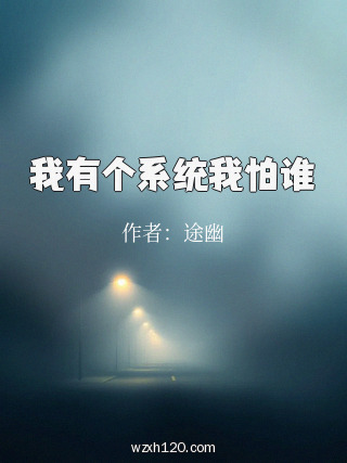 我有个系统我怕谁