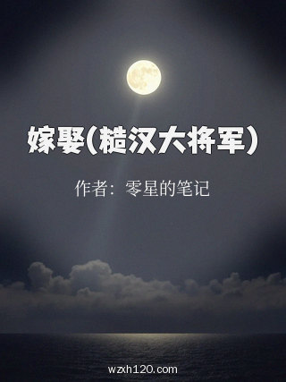 嫁娶(糙汉大将军)