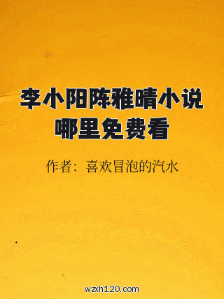 李小阳陈雅晴小说哪里免费看