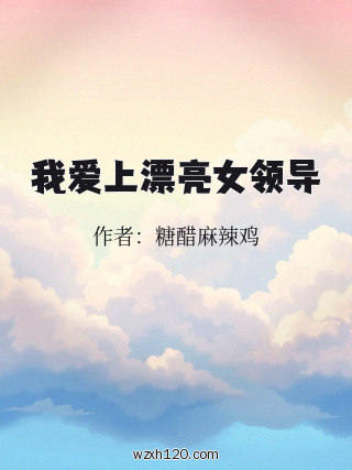 我爱上漂亮女领导
