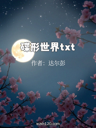 碟形世界txt
