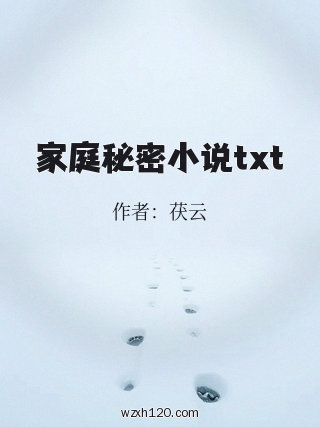 家庭秘密小说txt