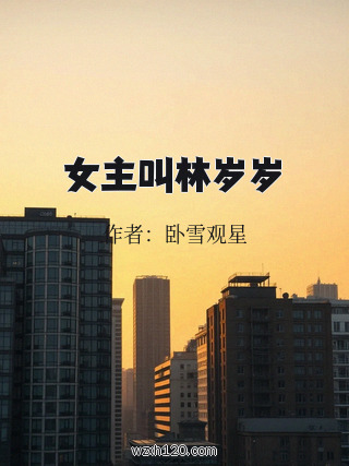 女主叫林岁岁
