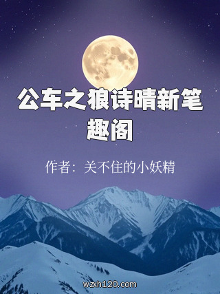 公车之狼诗晴新笔趣阁