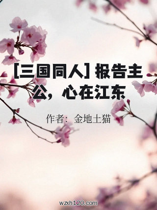 [三国同人] 报告主公，心在江东