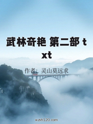 武林奇艳 第二部 txt