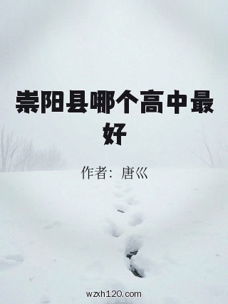 崇阳县哪个高中最好