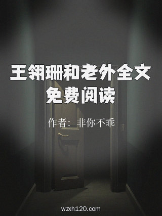 王翎珊和老外全文免费阅读