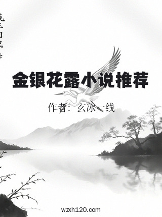 金银花露小说推荐