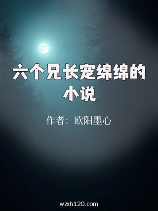 六个兄长宠绵绵的小说