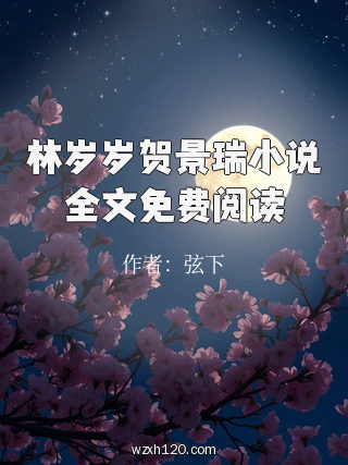 林岁岁贺景瑞小说全文免费阅读