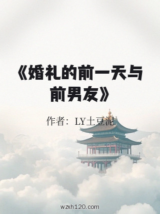 《婚礼的前一天与前男友》