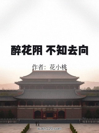 醉花阴 不知去向
