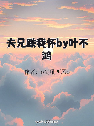 夫兄跌我怀by叶不鸿