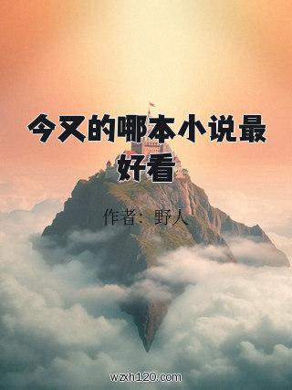 今又的哪本小说最好看