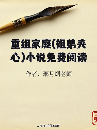 重组家庭(姐弟夹心)小说免费阅读