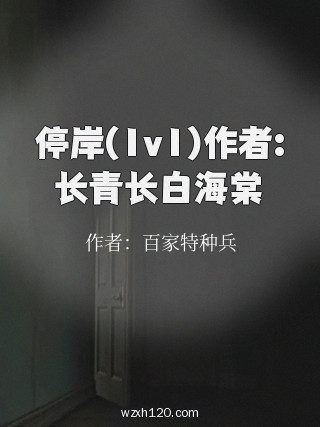 停岸(1v1)作者:长青长白海棠