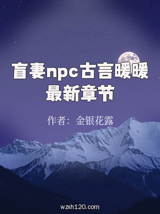 盲妻npc古言暖暖最新章节