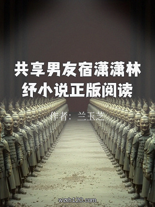 共享男友宿潇潇林纾小说正版阅读