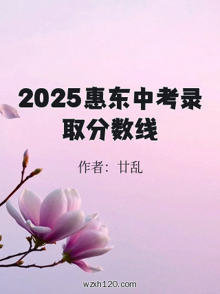 2025惠东中考录取分数线
