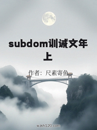 subdom训诫文年上