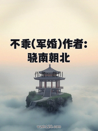 不乖(军婚)作者:骁南朝北