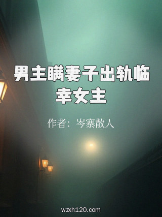 男主瞒妻子出轨临幸女主