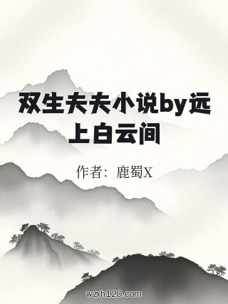 双生夫夫小说by远上白云间