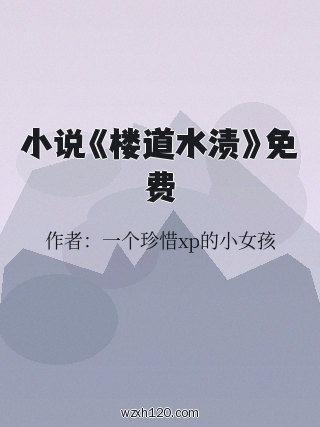 小说《楼道水渍》免费
