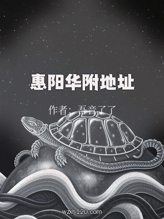惠阳华附地址