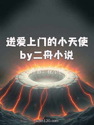 送爱上门的小天使by二舟小说