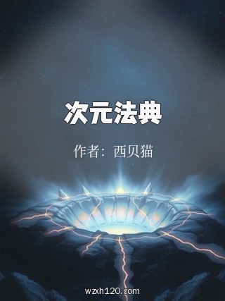 次元法典