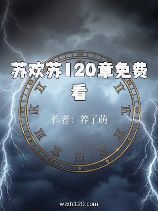 苏欢苏120章免费看