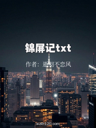 锦屏记txt