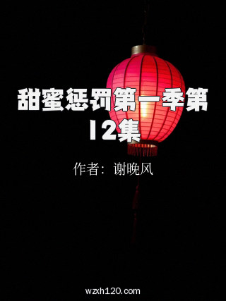 甜蜜惩罚第一季第12集
