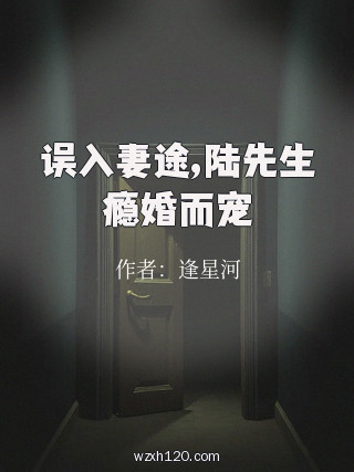 误入妻途,陆先生瘾婚而宠
