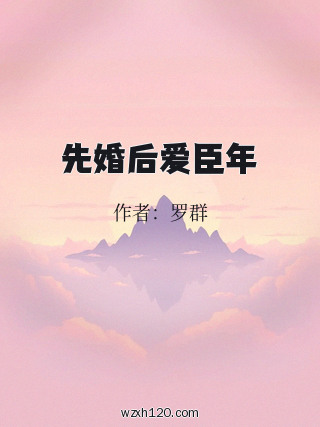 先婚后爱臣年