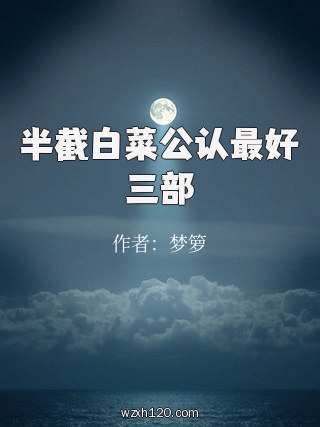 半截白菜公认最好三部