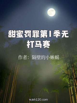 甜蜜罚罪第1季无打马赛
