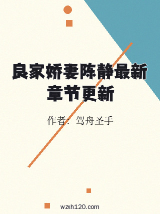 良家娇妻陈静最新章节更新