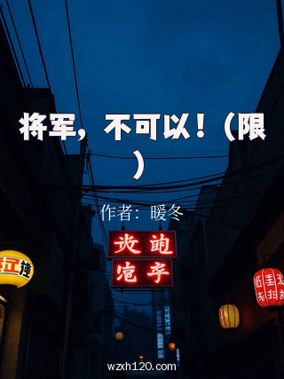 将军，不可以！（限）