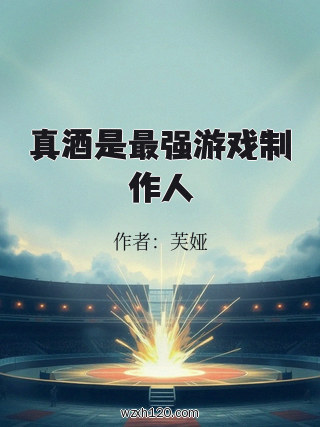 真酒是最强游戏制作人